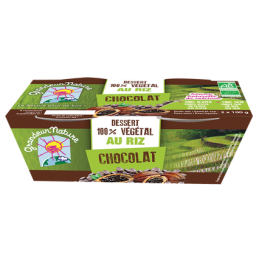 Dessert riz chocolat 2x100g