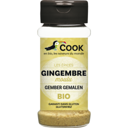 Gingembre moulu 30g