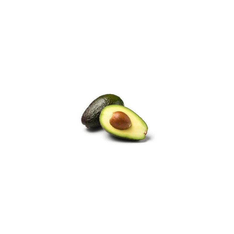 Avocat. gros