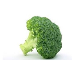 Brocoli