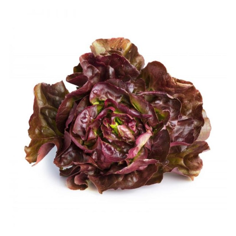 Salade rougette