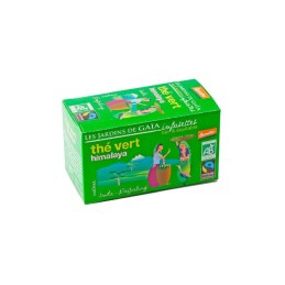 The vert himalaya 20 sachets