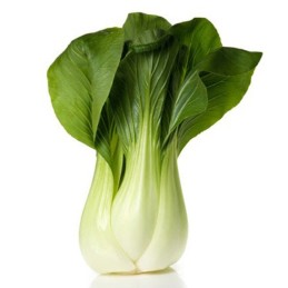 Chou pak choi