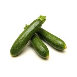 Courgette verte france