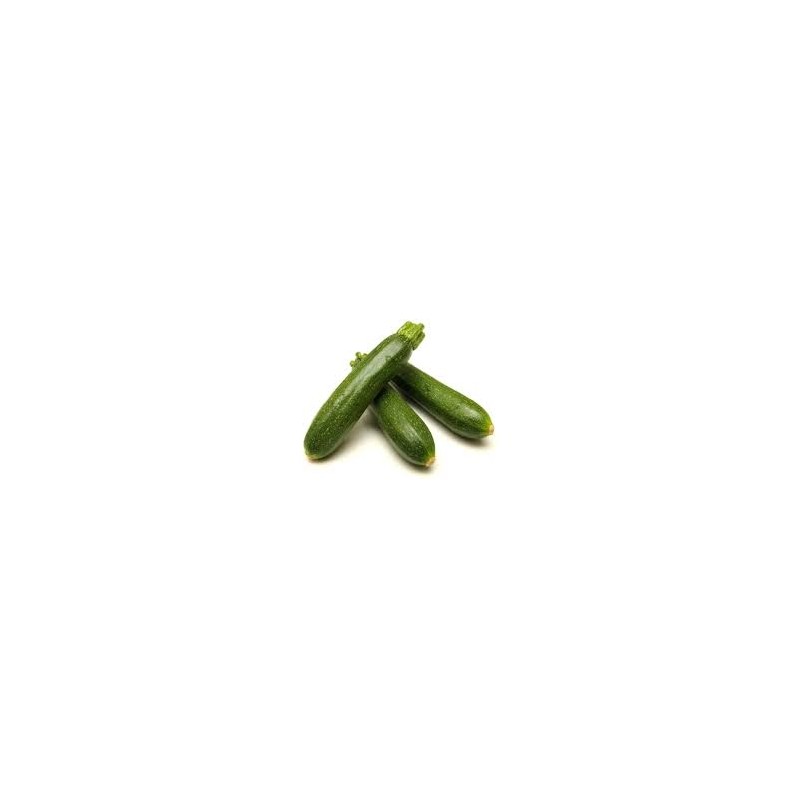 Courgette verte france