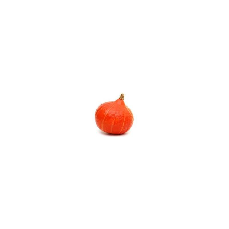 Courge potimarron (red kuri)