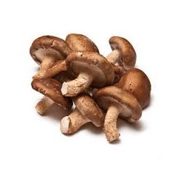 Champignons shiitake